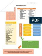 Paradigma Neuroeducativo