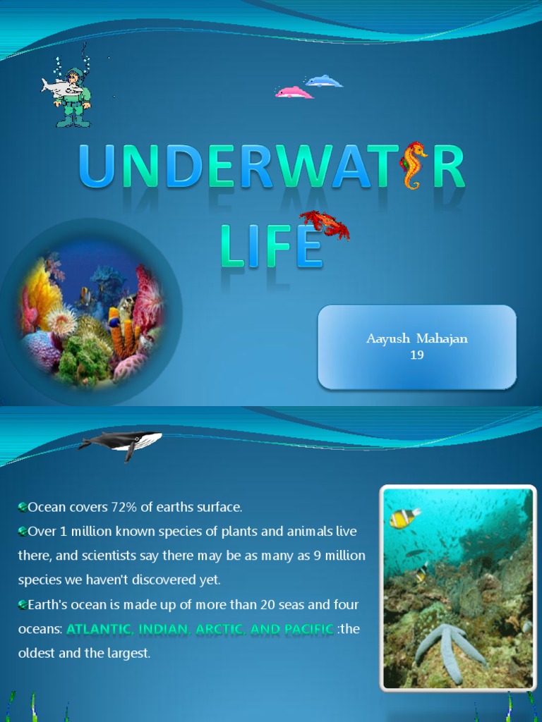 Ocean Wonders and Marine Life | PDF
