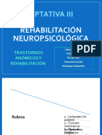 Trastorno Anomico