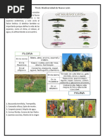 Flora y Fauna de Oaxaca | PDF