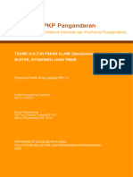 Proposal PKL Kultur Pakan Alami