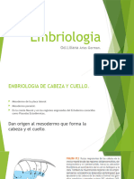 Presentación1 Embriologia.