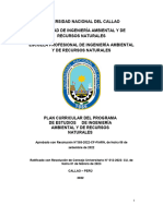 P16 - Plan Curricular Del Programa de Estudio de Ingeniería Ambiental y de Recursos Naturales