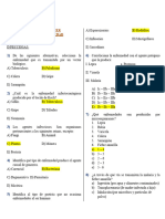 Anatomía Repaso 5