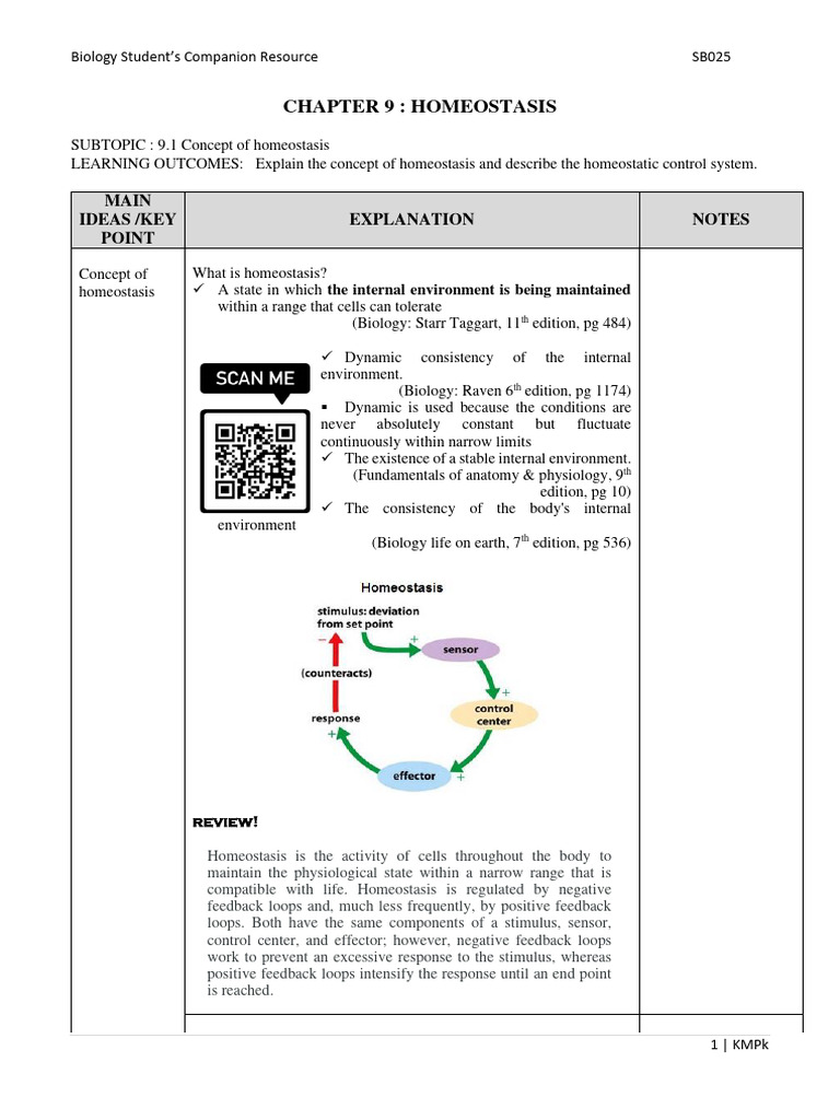 Homeostasis | PDF | Kidney | Homeostasis