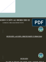 Petición, Acción, Pretensión y Proceso