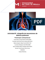 Infografia de Mecanismos de Defensa Pulmonar