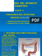 Fisiología Del Aparato Digestivo Parte V