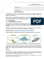 Hoja de Trabajo de Microbiología 25-09-2023