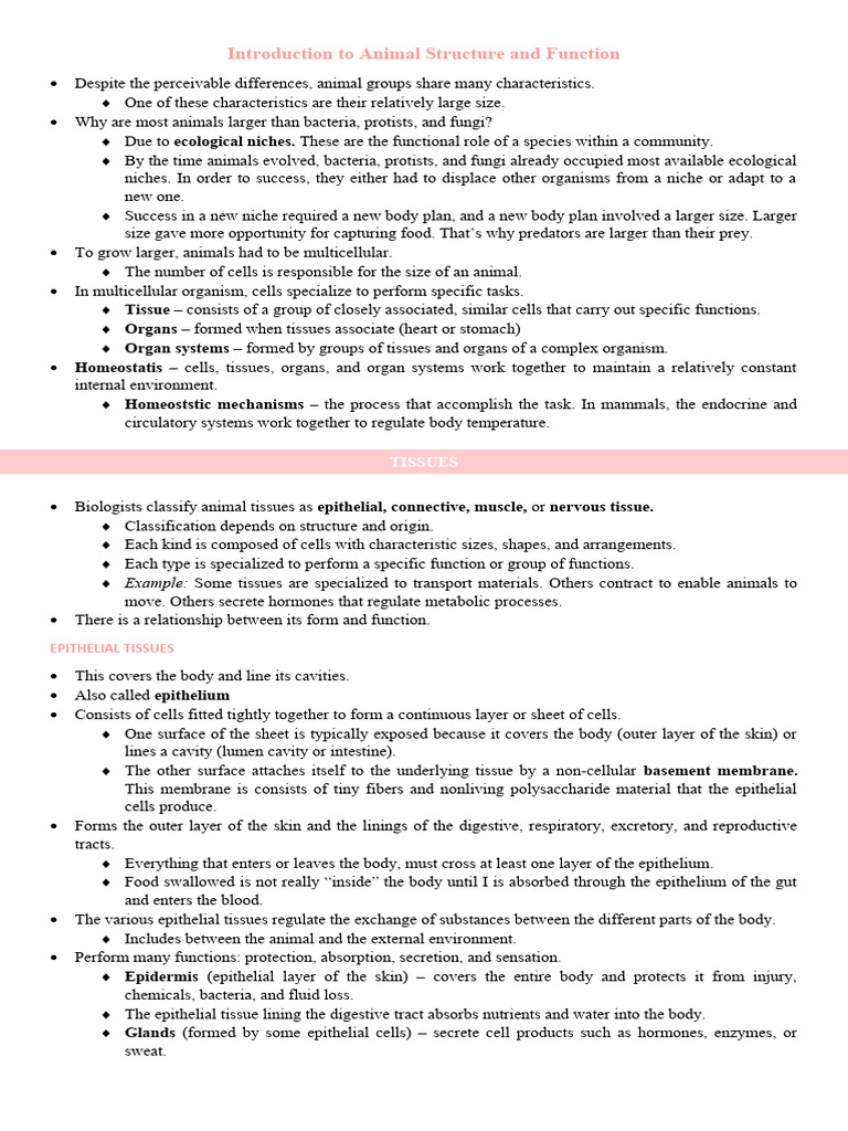 Animal intelligence overview