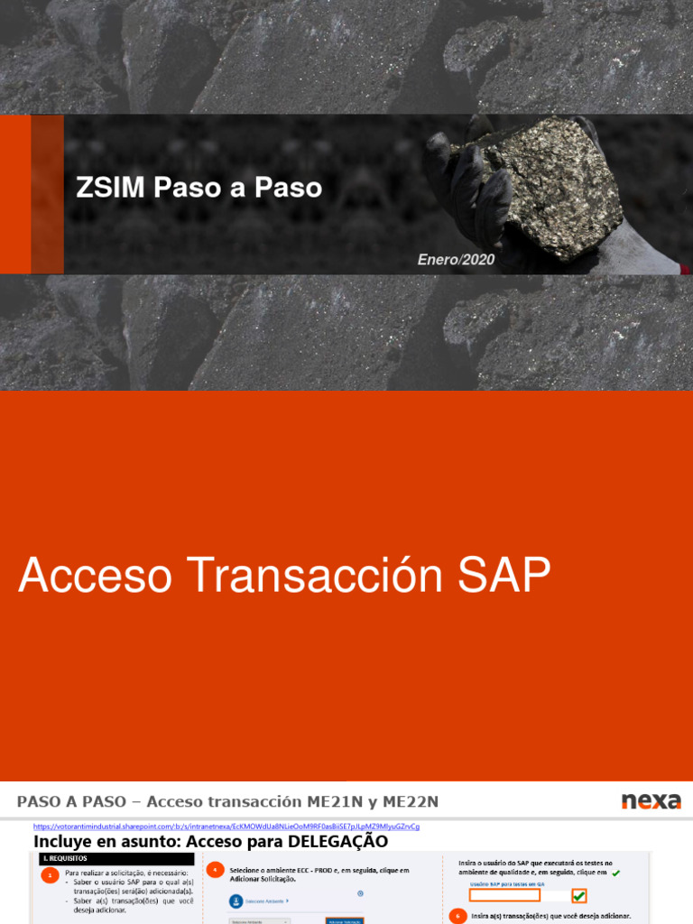 ZSIM Passo A Passo - Treinamento - Español | PDF | Informática