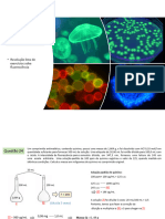 3 Resolução Lista Fluorescência 2022