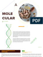 Terapia Ortomolecular