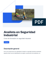 Analista en Seguridad Industrial - Removed