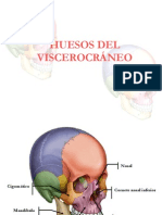 3.huesos Del Viscerocraneo