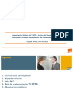 Capacitacion SAP HCM - Orientado A Procesos de Nómina - 2012-06-01