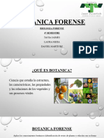 Botanica Forense
