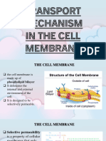 Cell Membrance