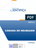 Práctica 11 - Cámara de Neubauer y CC - Ejercicios