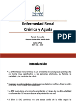 PDF Dietoterapia en Enfermedad Renal Cronica y Aguda Compress