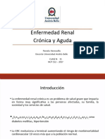 PDF Dietoterapia en Enfermedad Renal Cronica y Aguda