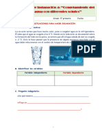 Ficha 5 Lower - Taller de Indagación 4