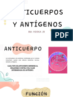 Anticuerpos y Antígenos, Complejo Mayor de Histocompatibilidad y Presentación de Antígenos