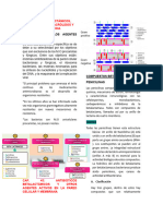 Cap. 43 y 44. B Lactámicos, Tetraciclinas, Macrólidos y Clindamicina