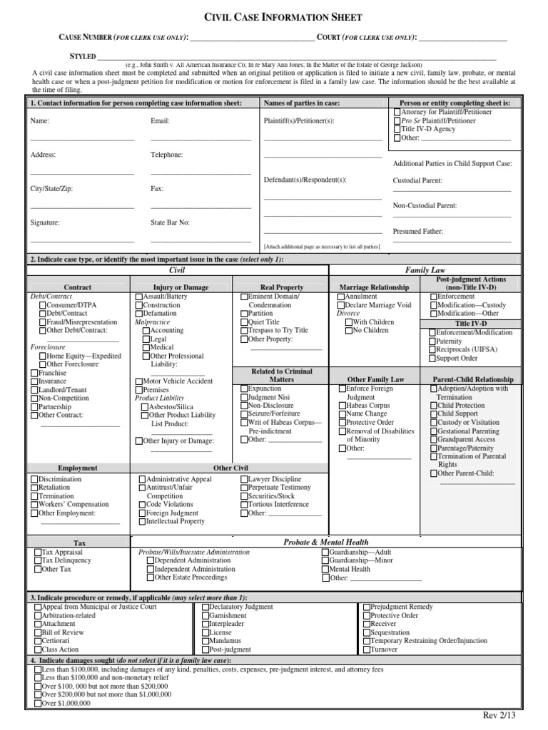 Civil Case Information Sheet Template | PDF | Injunction | Legal Remedy