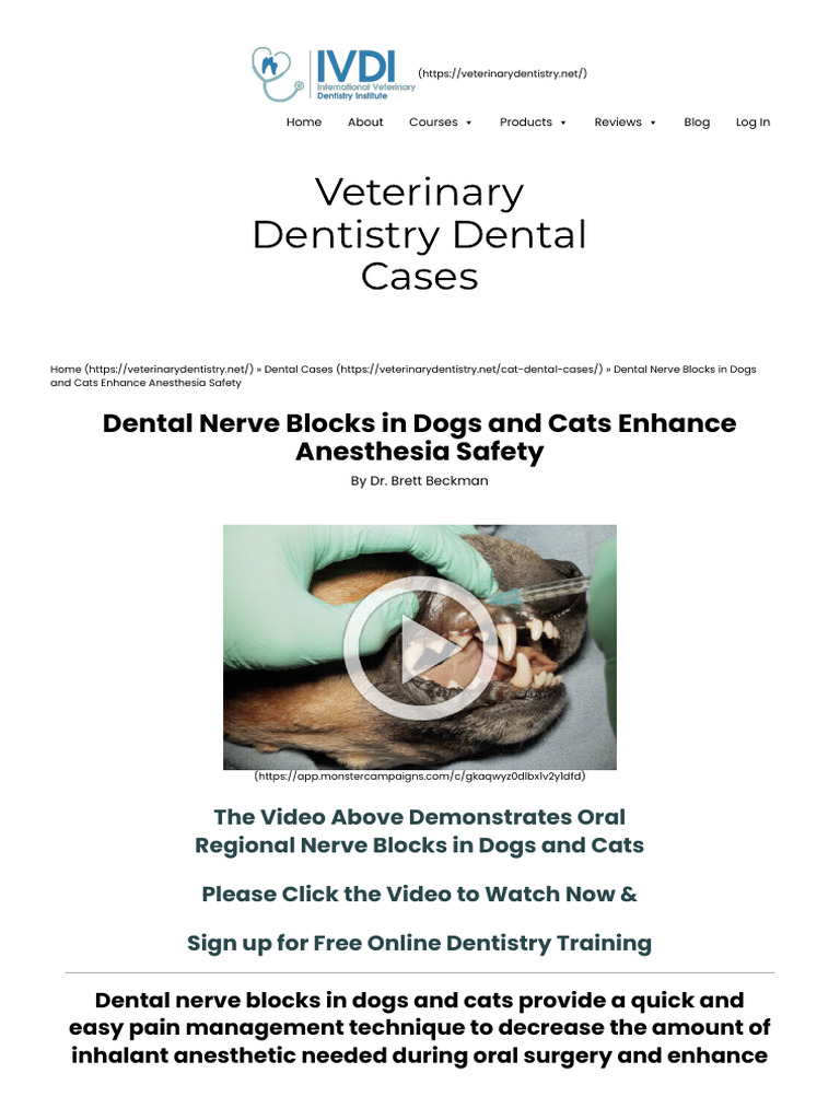 Image showcasing Dental Nerve Blocks in Dogs and Cats Enhance Anesthesia Safety ...