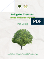 Philippine Trees 101: Trees With Description PDF