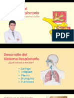 Desarrollo Sistema Respiratorio