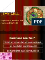 Organization, Structure and Function of The Cell I