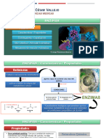 Teoría 01. Enzimas