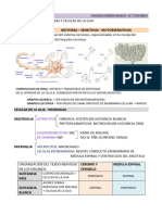 Histologia Resumen - Nervioso y Respiratorio