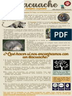 Infografia Tlacuache