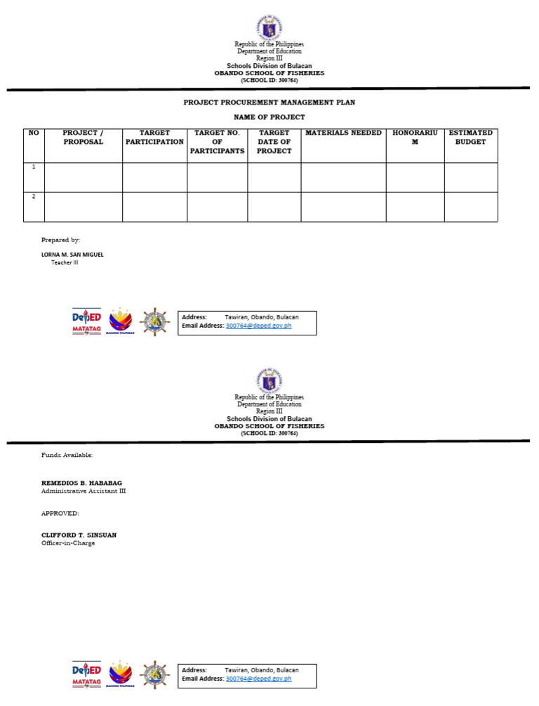 PPMP Template | PDF