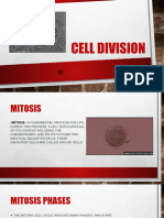 Cell Division