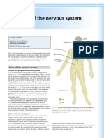 Chapter 1 - Overview of The Nervous System - 2014 - Clinical Neuroscience