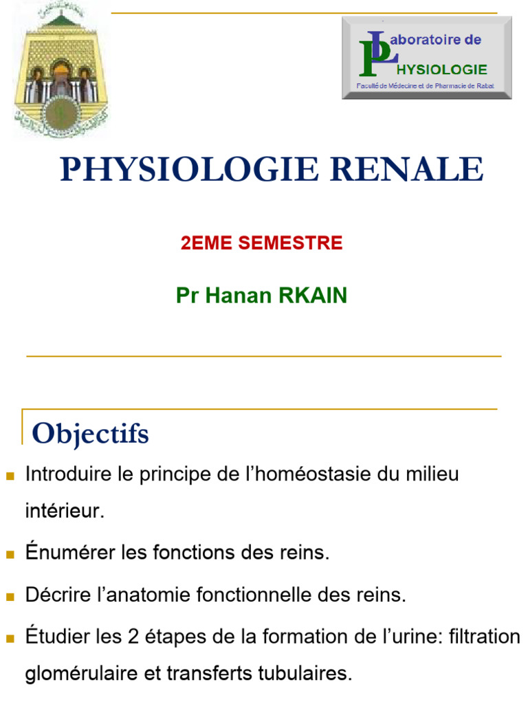 Cours Physiologie Rénale PR Rkain | PDF | Rein | Spécialités médicales