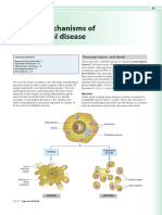 Chapter 8 Cellular Mechanisms of Neurological Dis 2014 Clinical Neuroscien