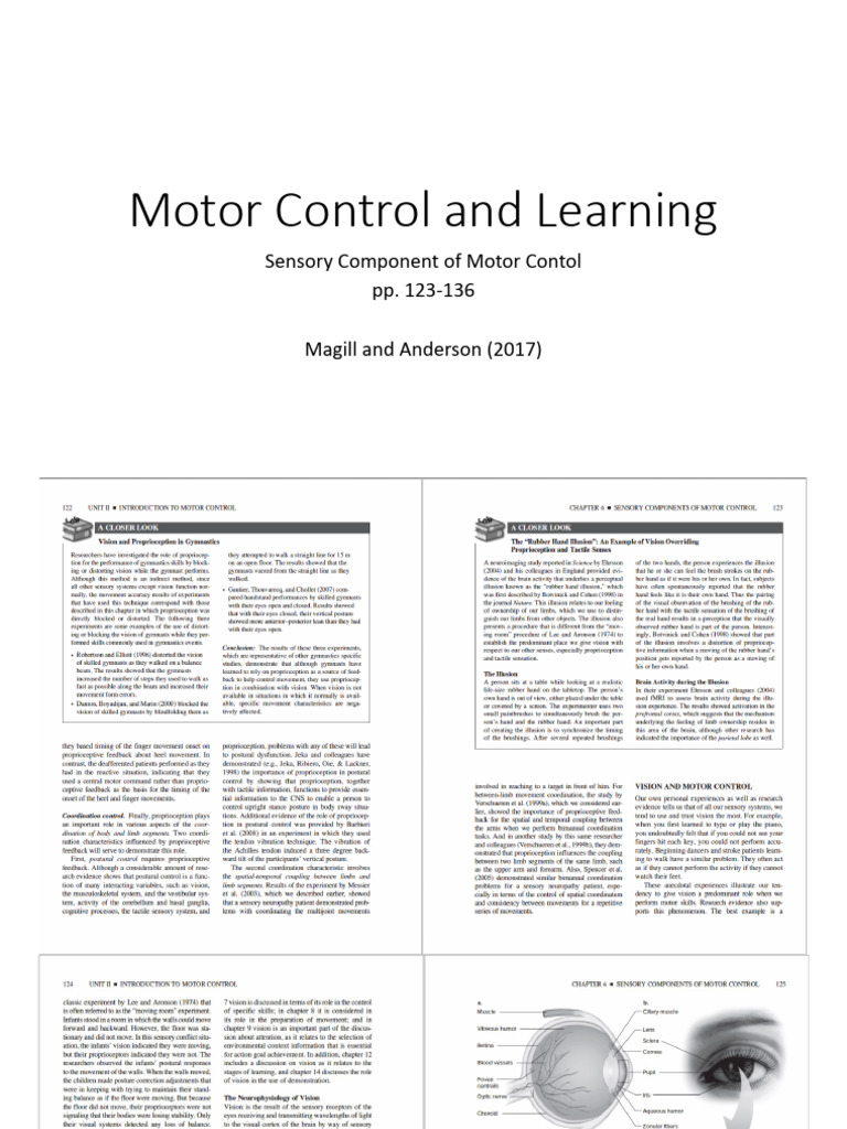Sensory Components of Motor Control PDF