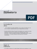 Sesión 11 - (Etapa Probatoria II)