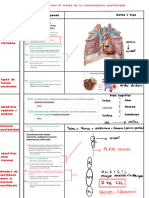 Carnet D'erreur Anatomie