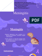 Tema 4. Meningitis