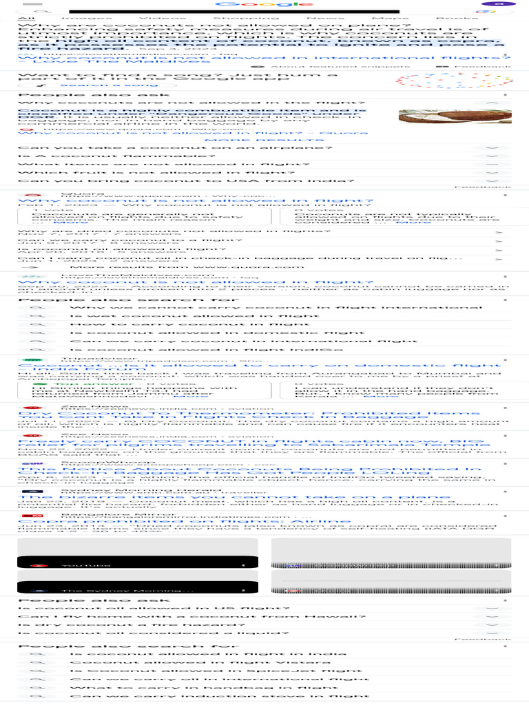Why We Cannot Carry Coconut in Flight Google Search PDF Baggage