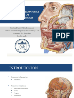 Patologia Inflamatoria e Infecciosa de Glandulas Salivales