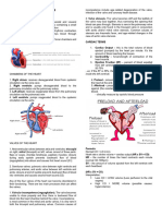 Chapter 8 Cardiac System