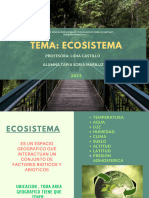 Eco Sistema