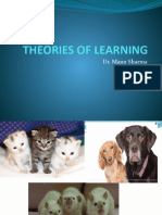 Theories of Learning